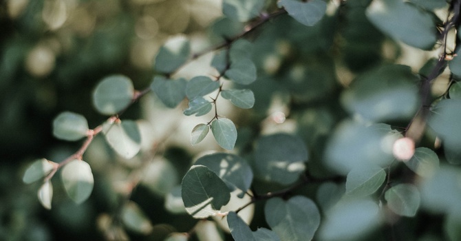 Are Upper Traps The Enemy image